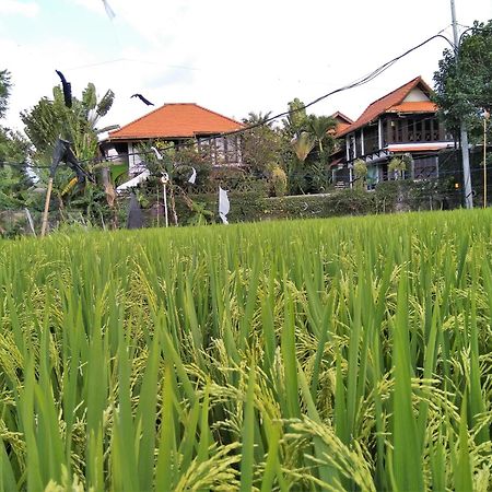 Umah Watu Villas Seminyak  Ngoại thất bức ảnh